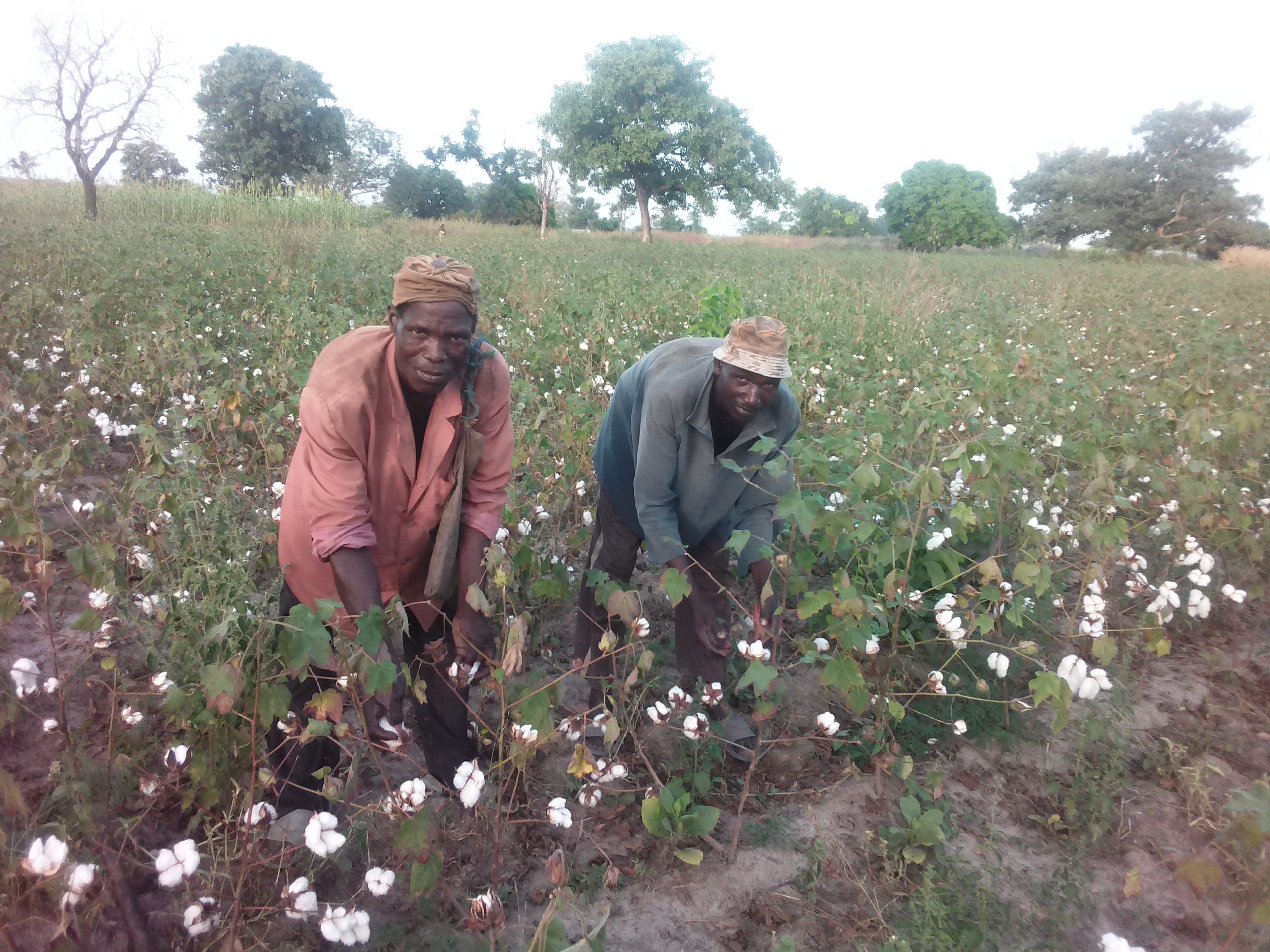 Workers in Gando